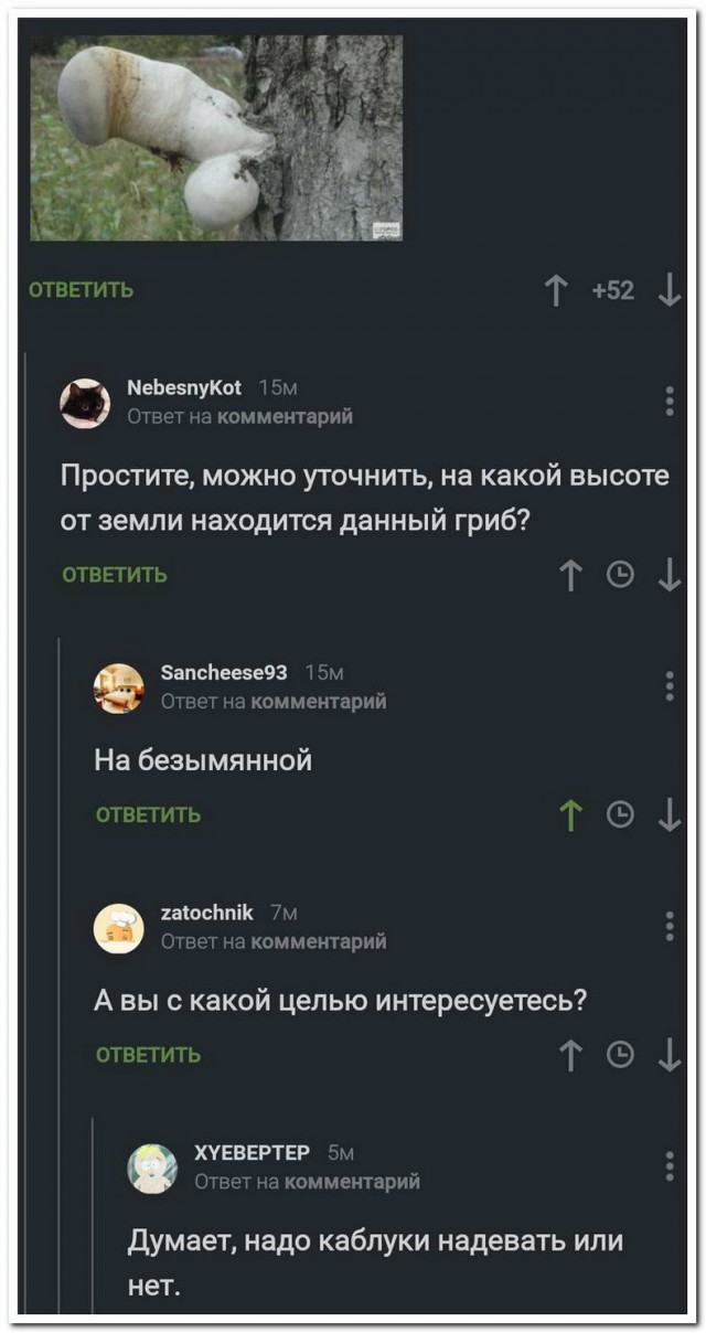 Разных картинок псто 14.08.19