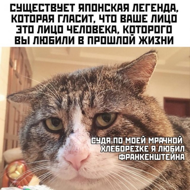 Немного картинок для настроения 04.06.20