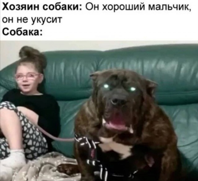 Мужик быстро среагировал при нападении пса