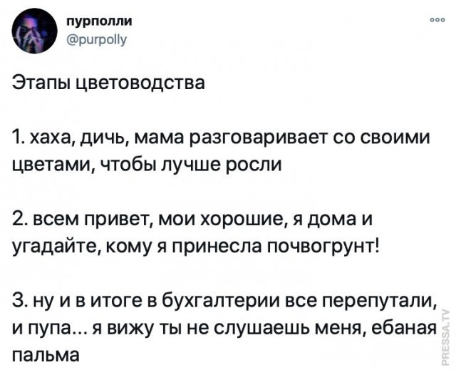 Картинки и мемы для настроения 022