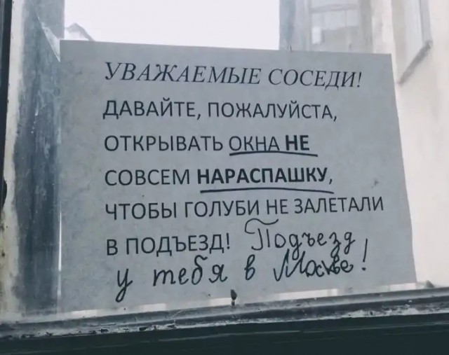 «Болезнь доцента Соколова». Под Петербургом нашли два пакета с останками женщины
