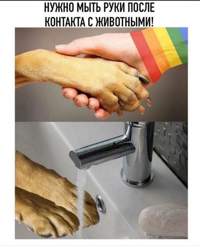 Аморальная деградация
