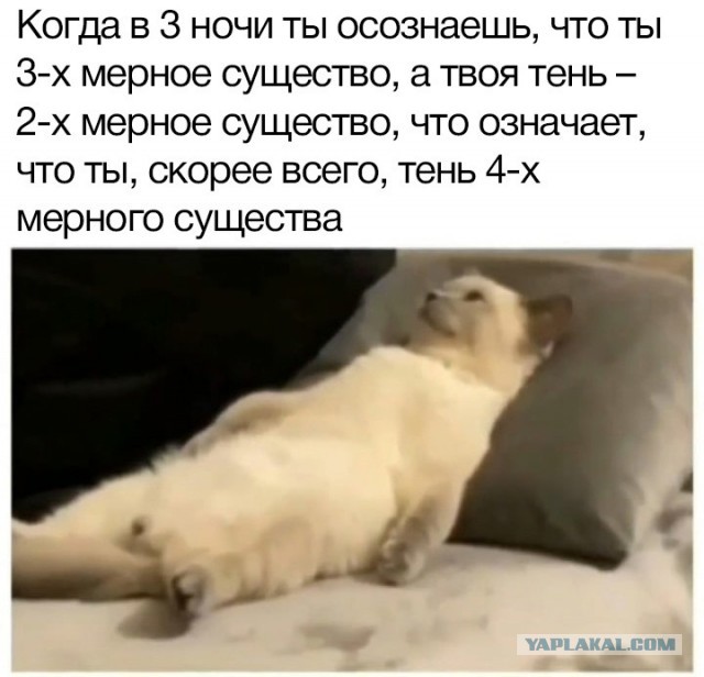 Так себе картинки 16.05.21