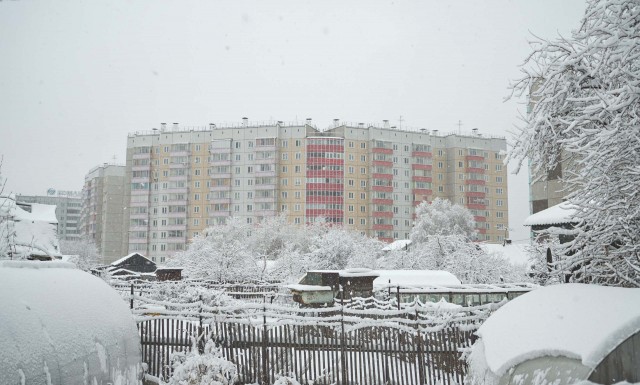 Живу в Красноярске