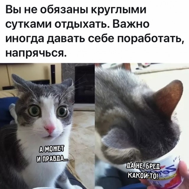 Весёлый полтишок 12.07
