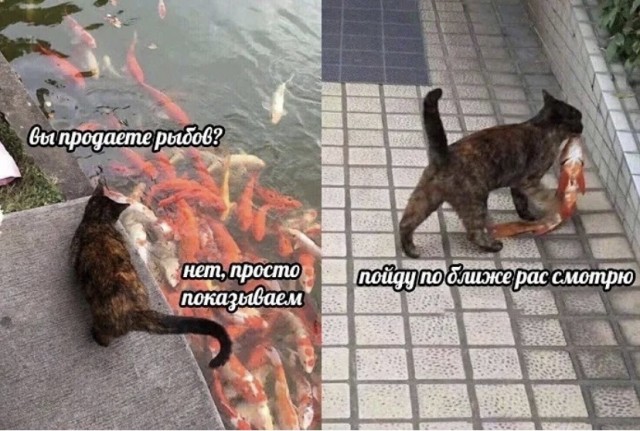 Так себе картинки 17.08.21