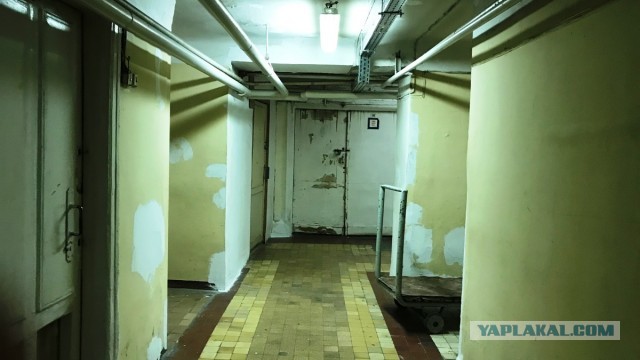 Российский «Спутник V» оказался лидером среди вакцин по побочным эффектам в Аргентине