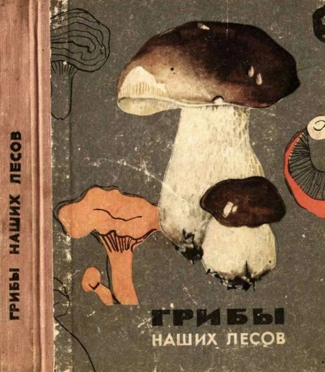«Наши женщины берут мужчин не в мужья, а на воспитание…»