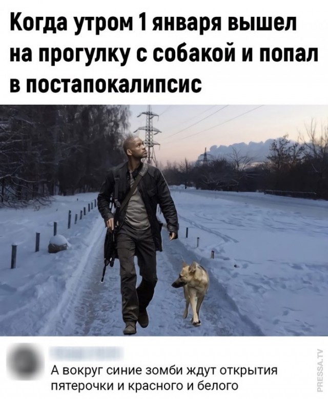 Человек собаке друг и другие картинки под настроение 13.01.2022