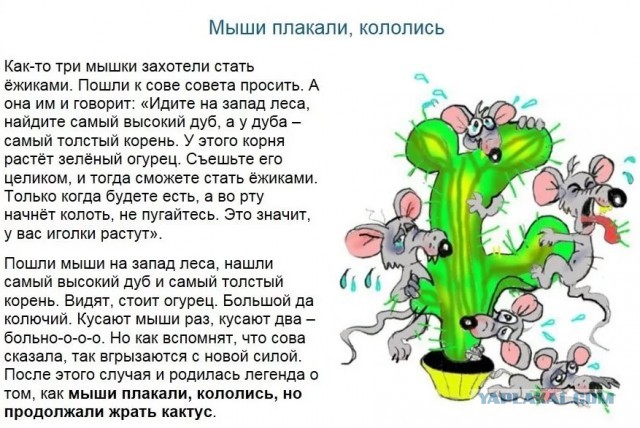Чем богаче жирует Москва, тем больше крошек под столом для регионов