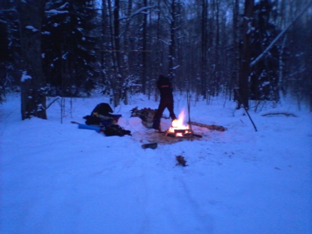 Пару дней в зимнем лесу.