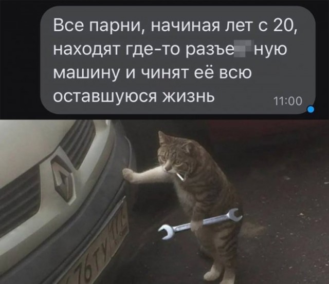 Картинки и мемы для настроения - 03