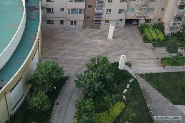 Китайские будни
