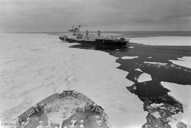 26 октября 1988 года советские моряки спасли семью китов, застрявших близ Аляски