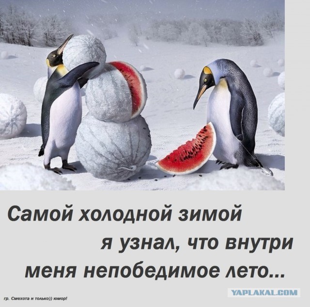 Как вернуть девушку, которая зафрендзонила тебя после нескольких месяцев флирта на сайте знакомств?