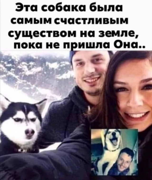 Немного картинок для настроения - 131