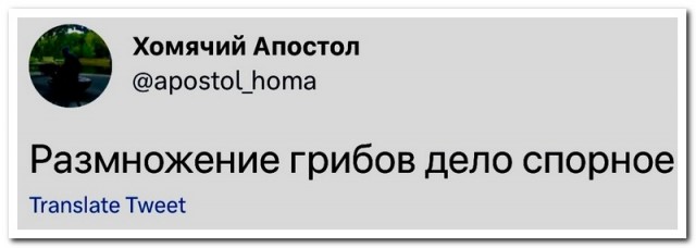 Забавные комментарии из социальных сетей (13.02.23)