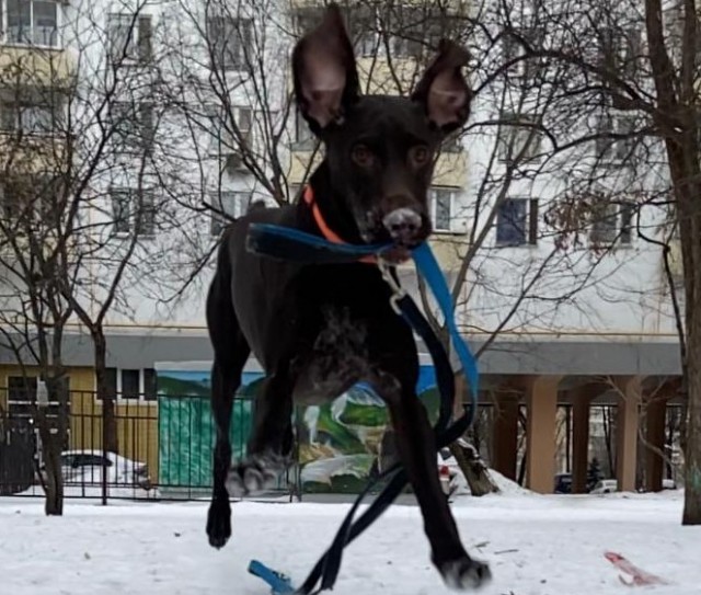 Вот и мне + в карму