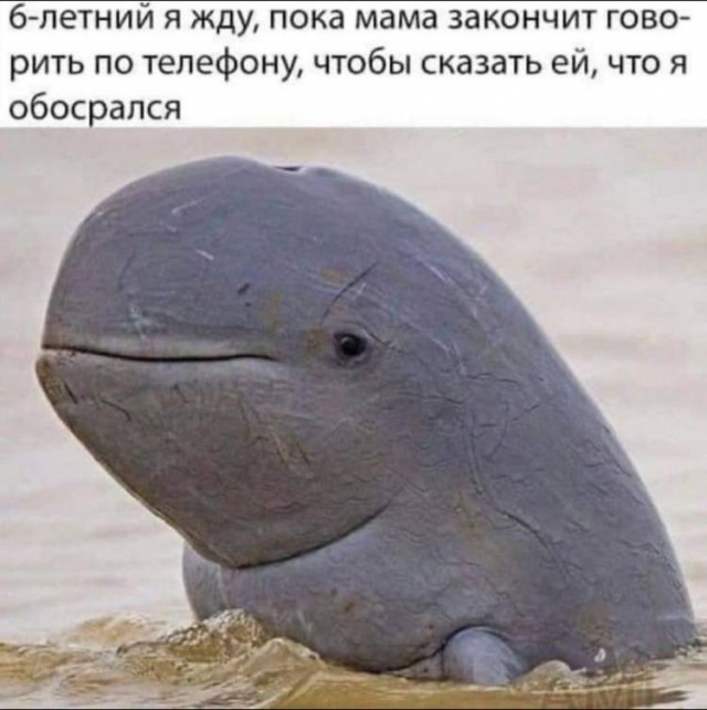 Всего понемногу. От 06.05