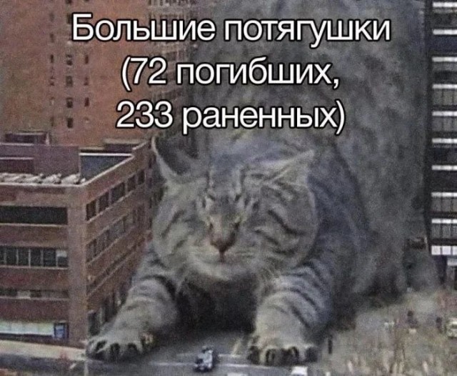 Приколы с налетом деградации
