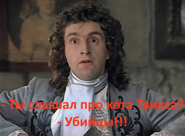 Кот Твикс. Служебная проверка и показания проводницы
