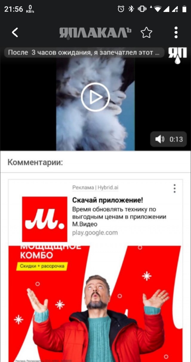 После  3 часов ожидания, фотограф запечатлел этот прекрасный момент