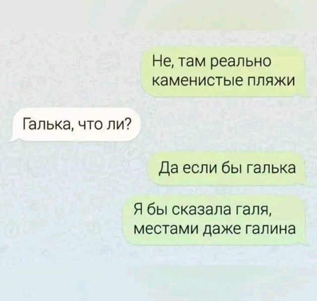 Весёлый полтишок 22.07 24