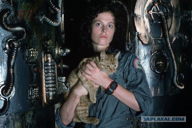 А ведь сегодня юбилей, 75 лет как никак