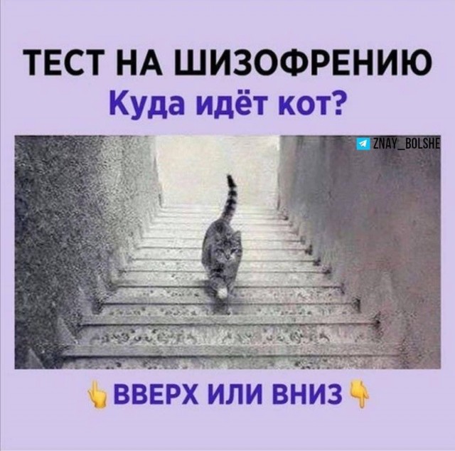 Так себе картинки 19.10.24