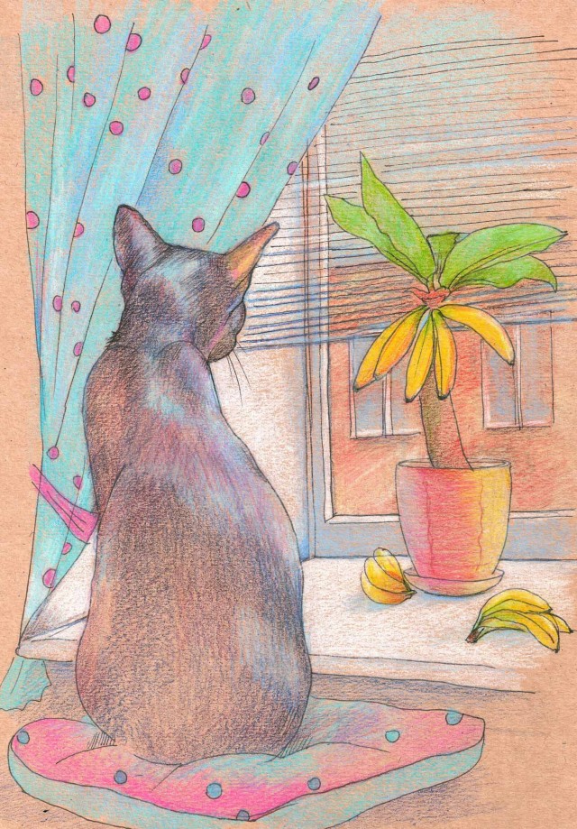 Мои нарисованные картинки с котиками
