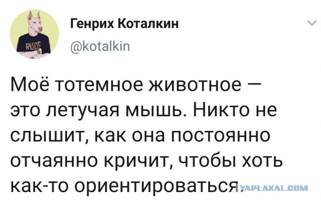 Картинки всякие, новые и старые