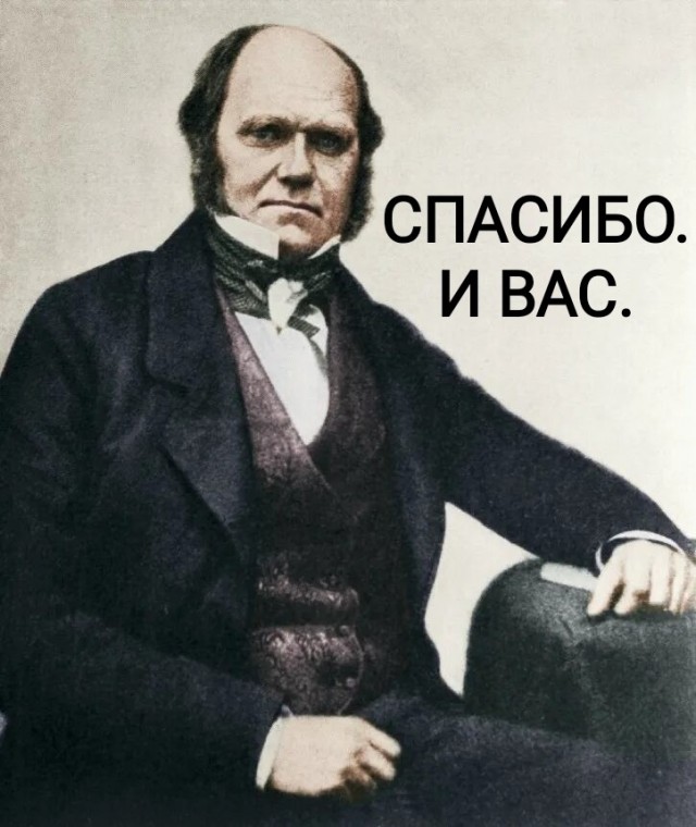 Моя любимая рождественская картинка