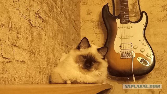 Ну а что? Мне понравилось...