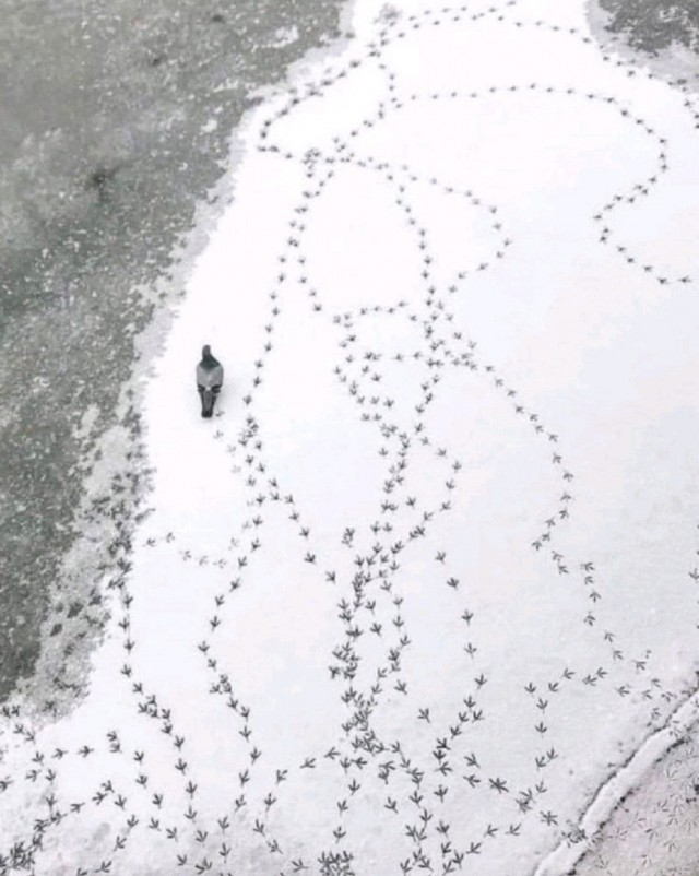 Мыслительный процесс