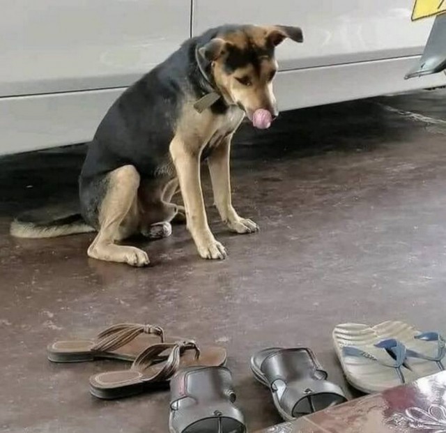 ФотоВинегрет