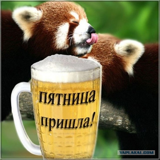 Прикольные и просто красивые картинки