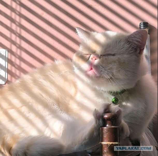 Хорошо, когда осень...