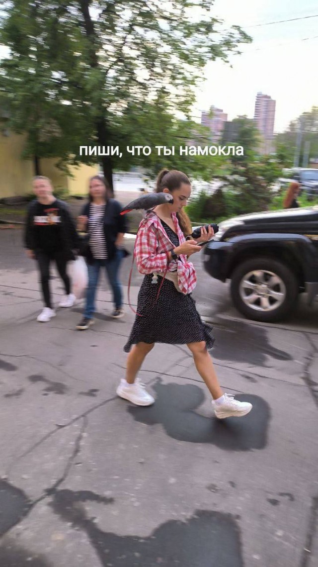 Среда обитания 0.1
