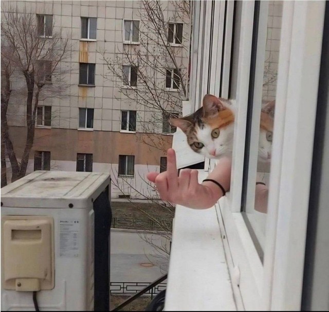 Так себе картинки 28.02.26