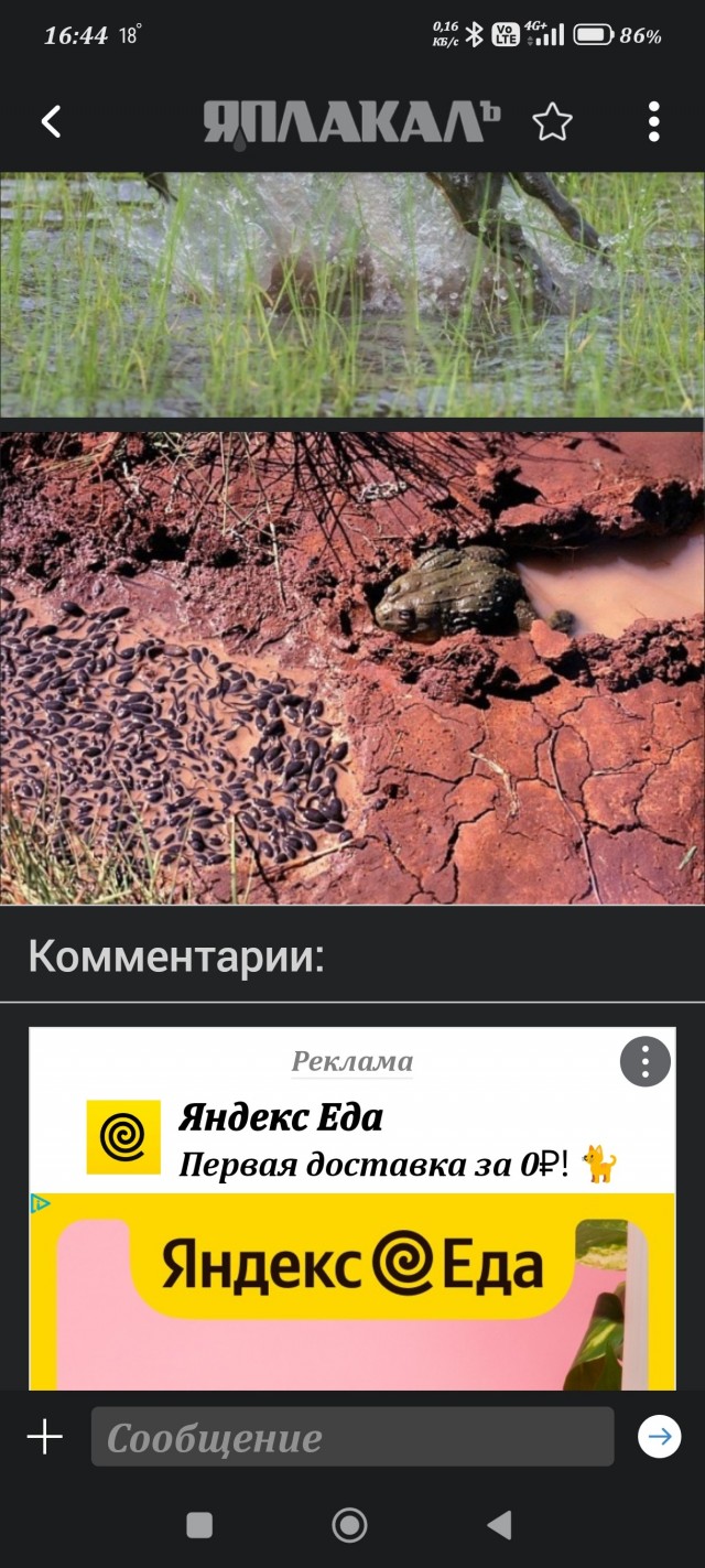 Эти монстры Африки рождены для войны