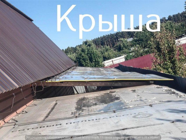 Жизнь домашнего приюта "Котоленд" 553