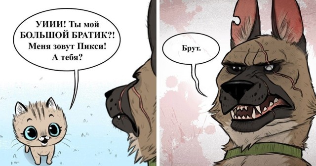Доставучий мелкий друг