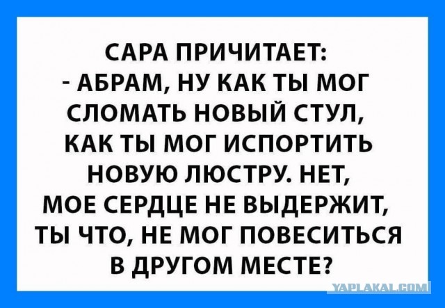 Веселые картинки в маленькую пятницу (05.08)