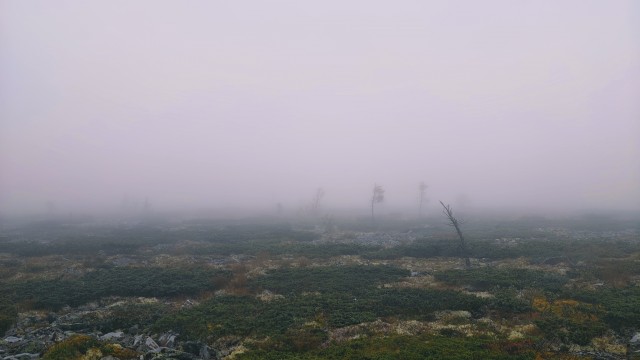Сплав по Вишере от 71 квартала до Красновишерска. Часть 2.