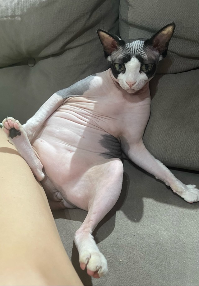 Доброе утро котаны!