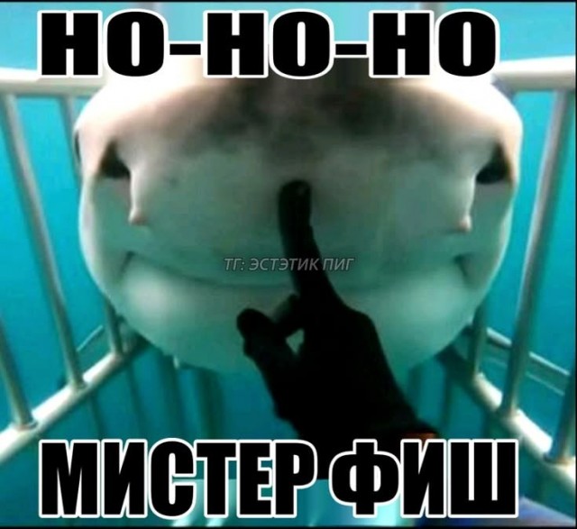 Отсутствие мозга, как составляющая счастья