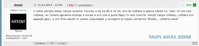Куда деть 80 000р?