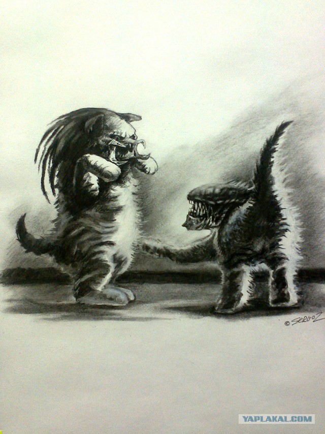 Еще немного ЧУкотов...