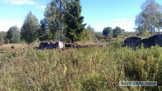 Карелия. р Охта