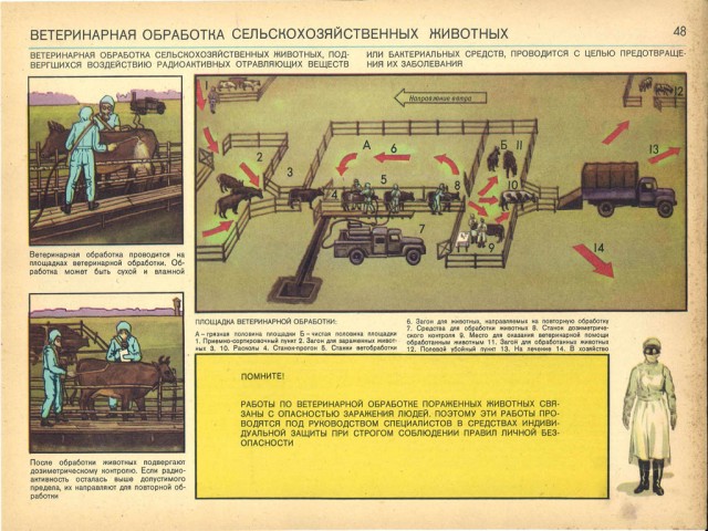 Гражданская Оборона